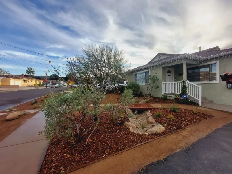 Street-front yard replanted with mulch beds and new drought-tolerant plants