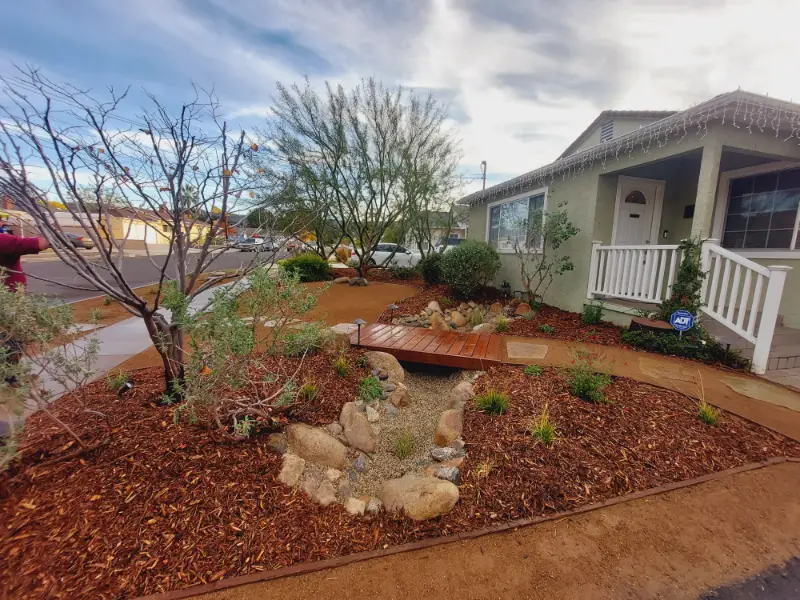 Red mulch, boulders and a young tree in a completed front-yard renovation
