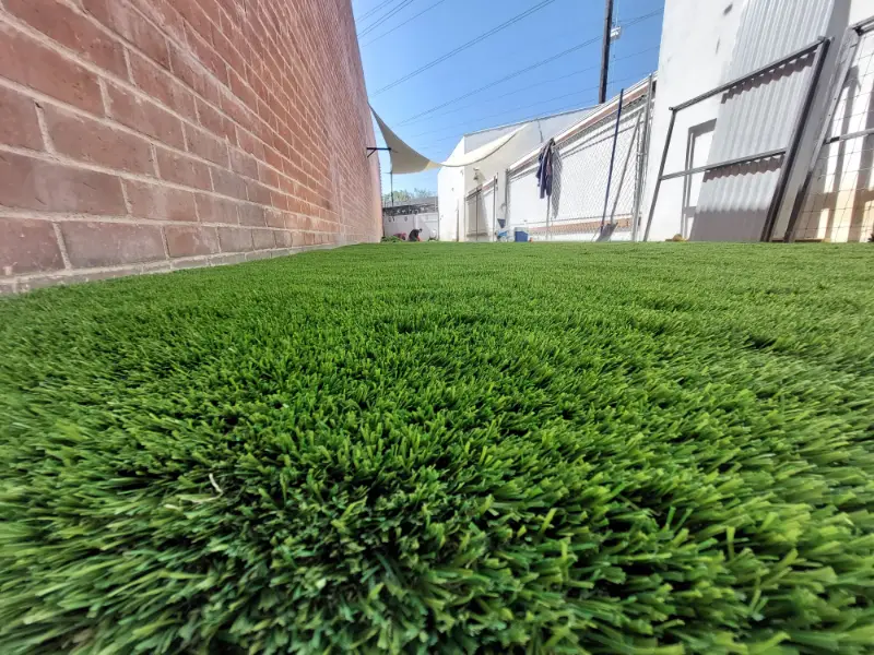 Close-up of dense artificial turf covering a gently sloping lawn