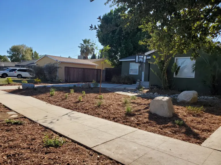 Low-water front yard planting along a concrete driveway edge
