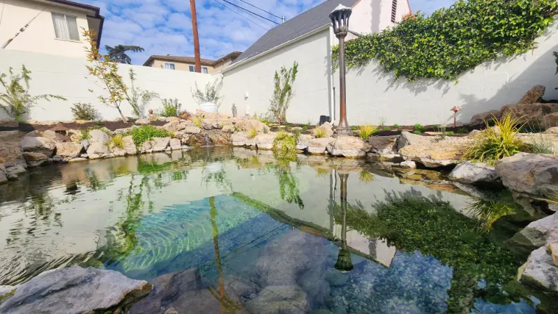 Swimming pool reflecting the surrounding wall and planting