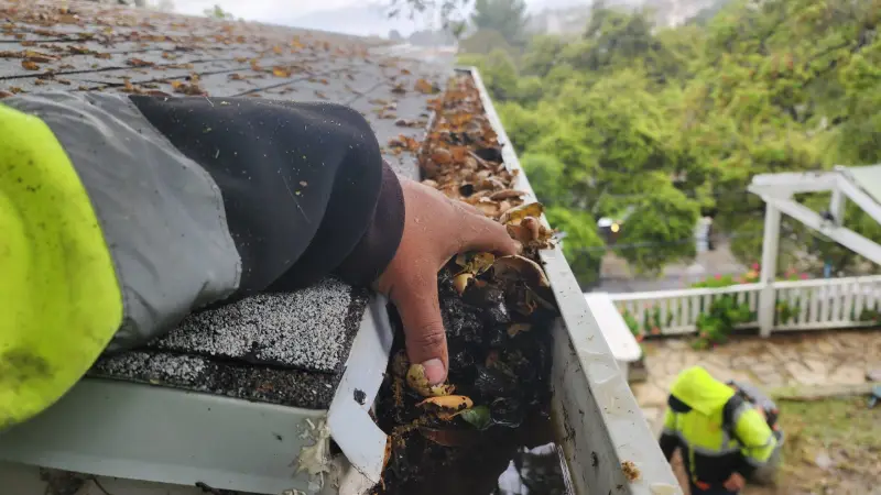 Gutter cleaning: gloved hands clearing leaf debris from a roof gutter