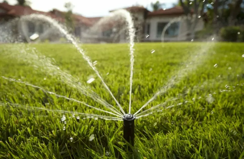 Water-saving irrigation: a sprinkler head watering a lawn